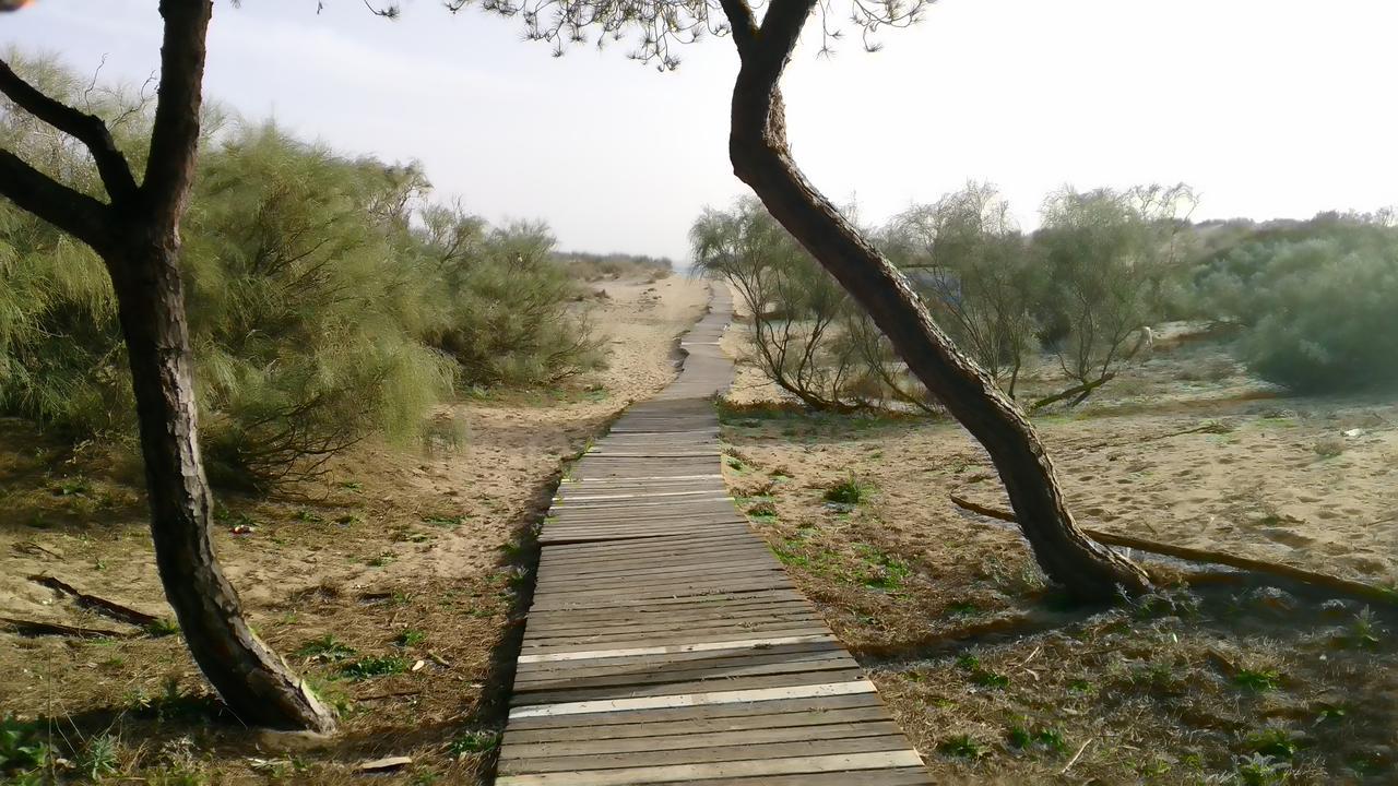 Camping Playa Taray Islantilla